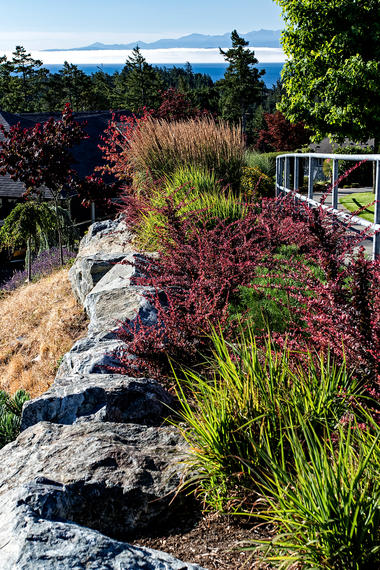 Cliffside garden-MustangLandscape-Victoria-BC-garden-rock-wall.jpg