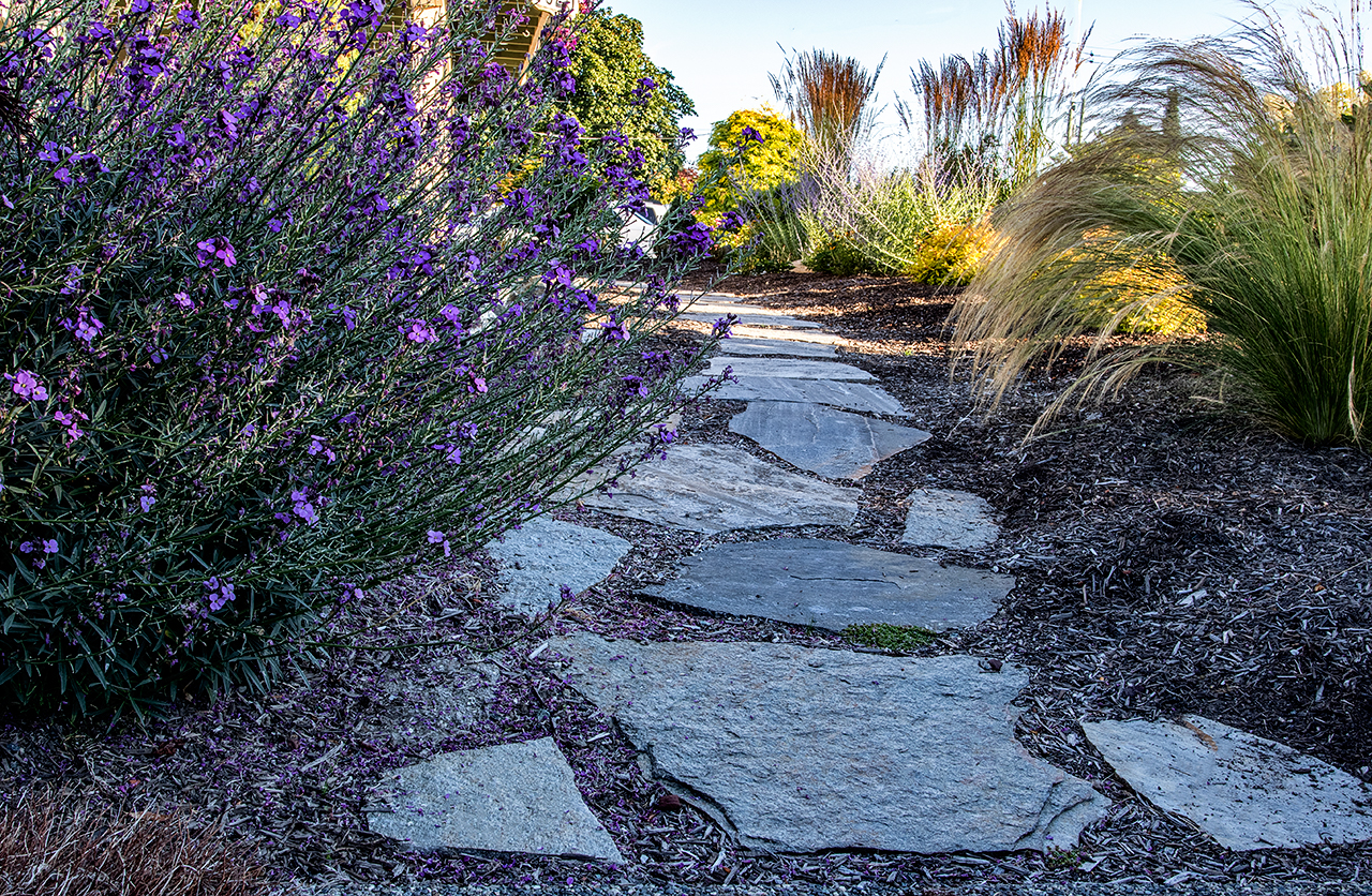 Beachside-Perennials-grasses--MustangLandscape-Victoria-BC-garden-rock-path.jpg