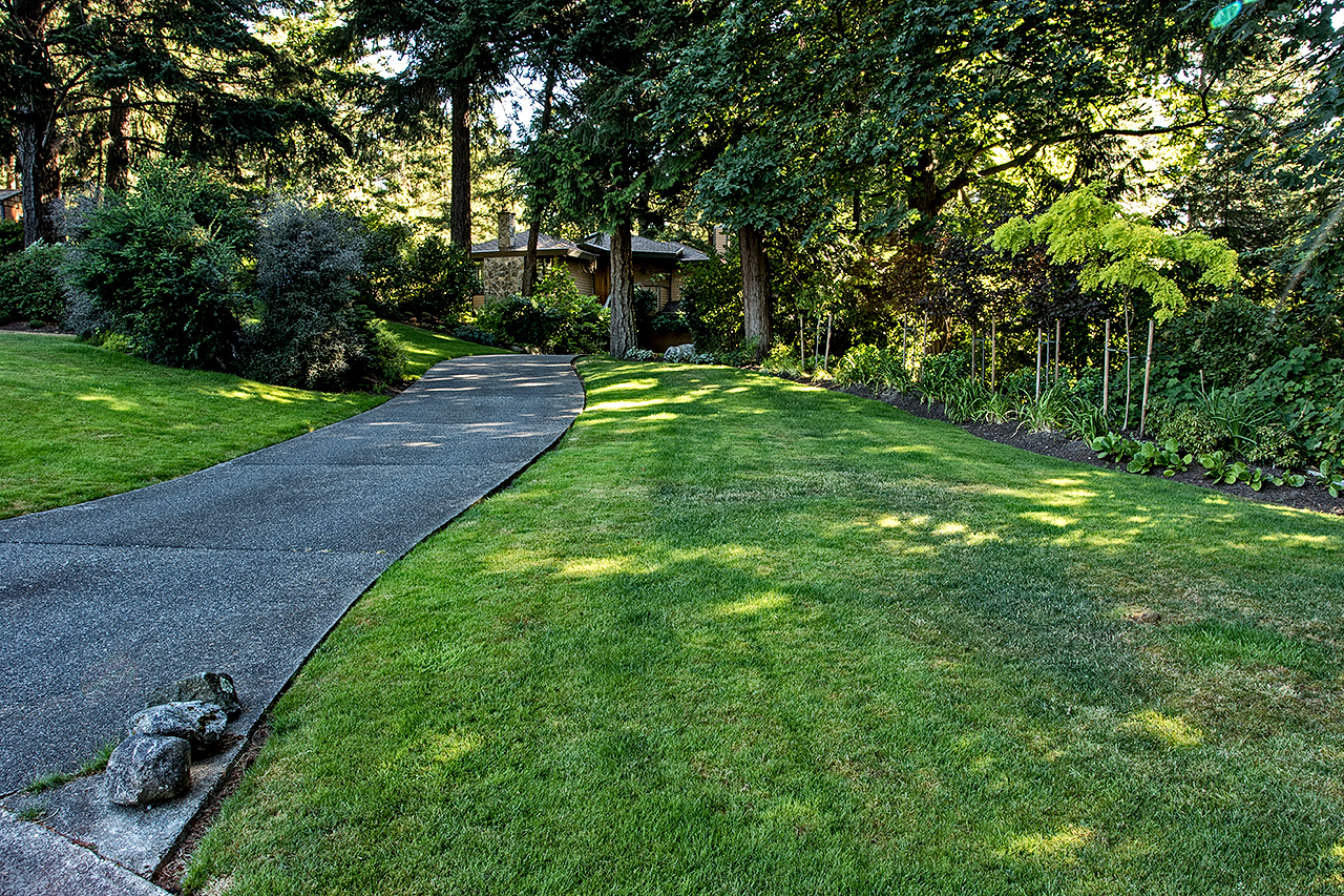 Woodland garden-MustangLandscape-Victoria-BC-garden-path.jpg