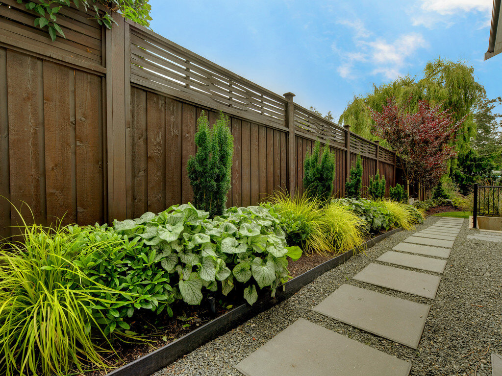 2-brunnera- jackfrost-taxus-skimmia-carex-everillo-pavers-path-stepping-stone.jpg