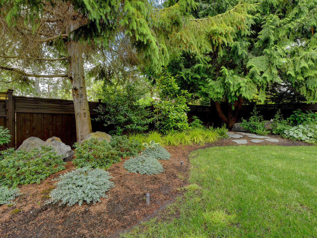 2-ground-cover-backyard-edging-landscape.jpg