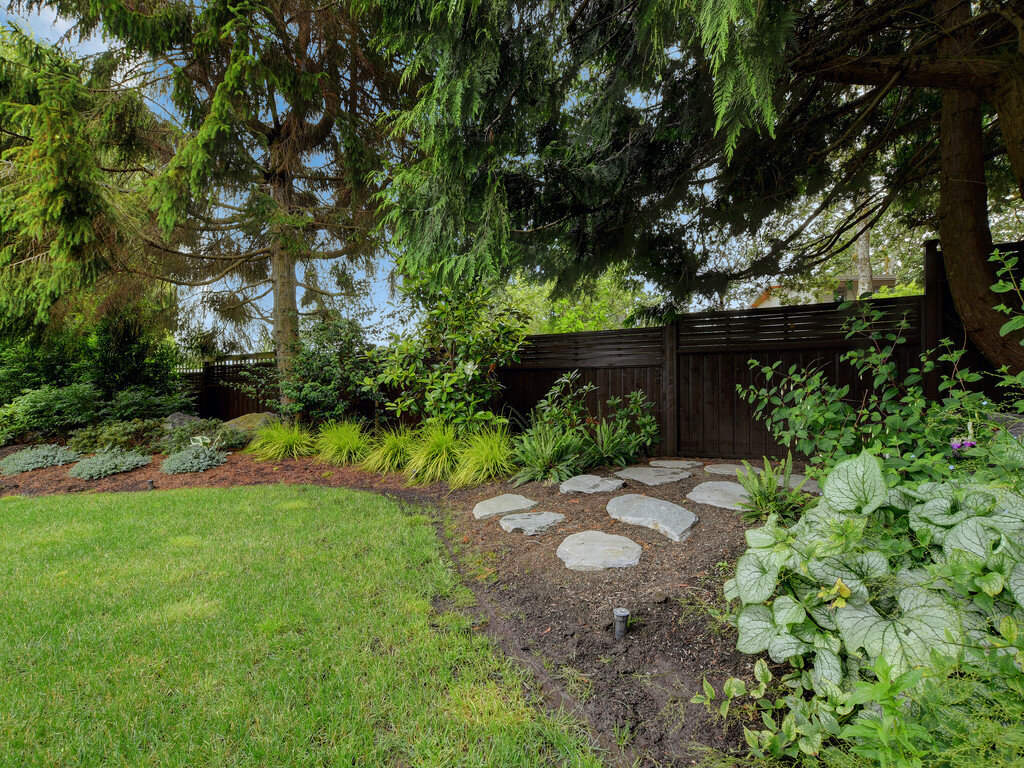 2-stepping-stone-backyard-ground-cover.jpg