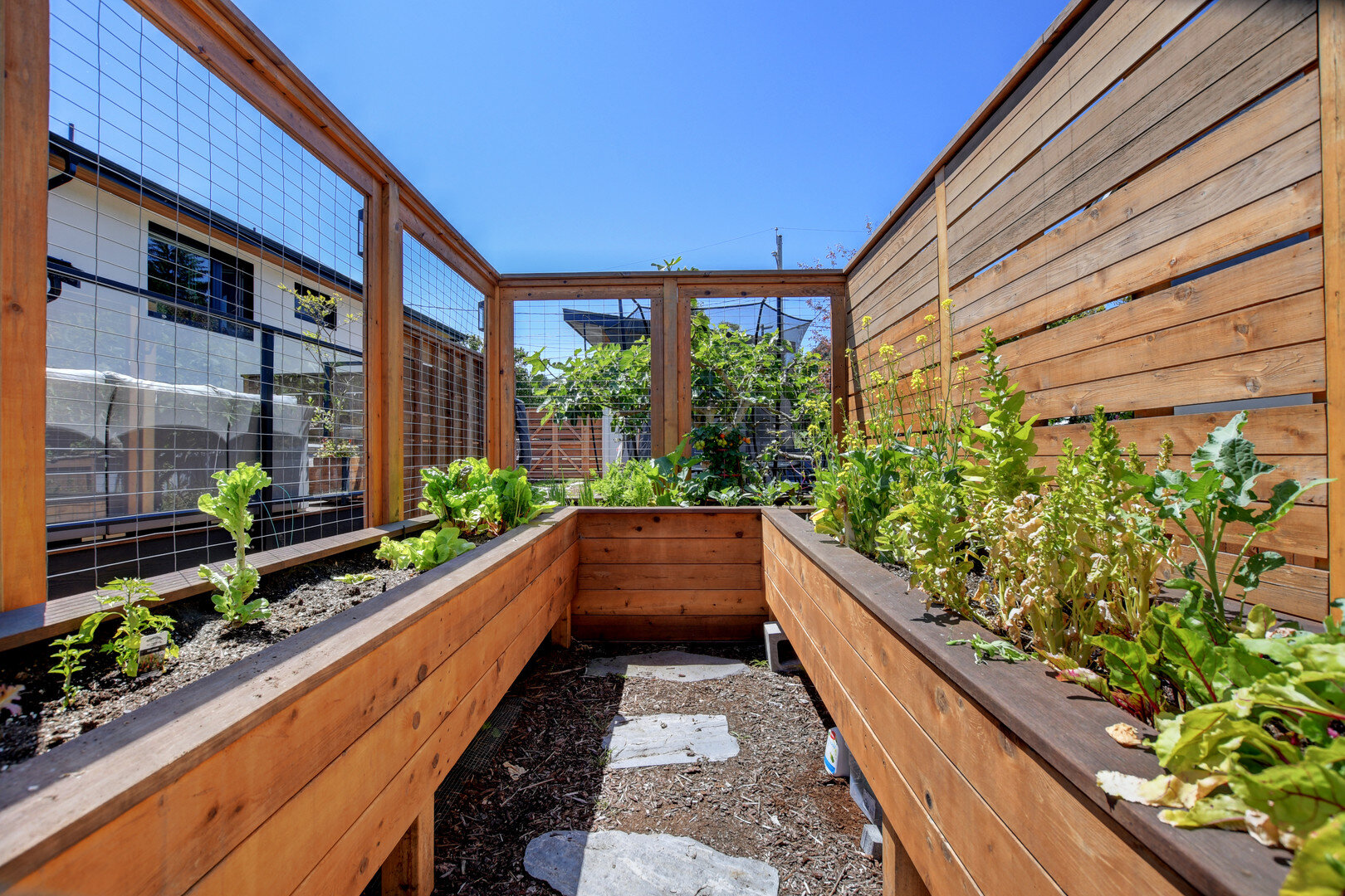 2-raised-vegetable-garden-veggies-custom-planter-upstream-carpentry.jpg
