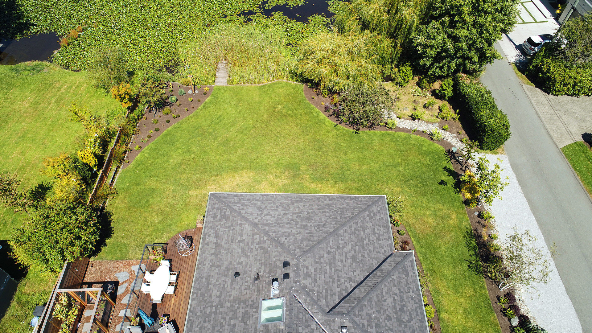 aerial-photography-landscape-photography-pond-lillypad-cattail-willow.jpg