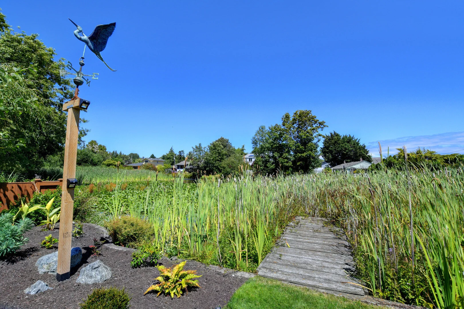 cattail-boardwalk-dock-backyard-feature-rock.jpg