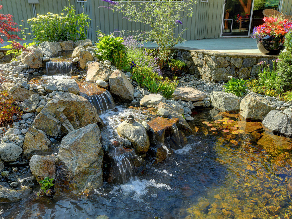 2-begonia-japanese-maple-salvia-granite-pond-water-feature.jpg