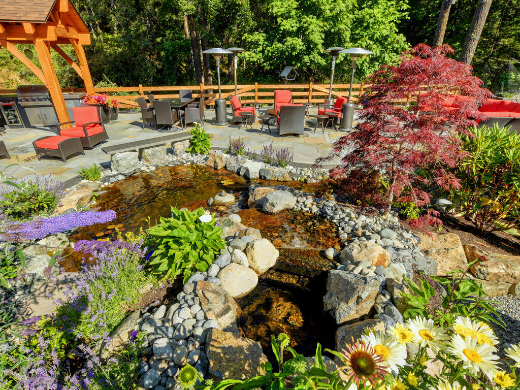 2-island-timber-frame-begonia-outdoor-kitchen-outdoor-living-patio-granite-pond-interlocking-bricks-pavers-japanese-maple-daisies.jpg