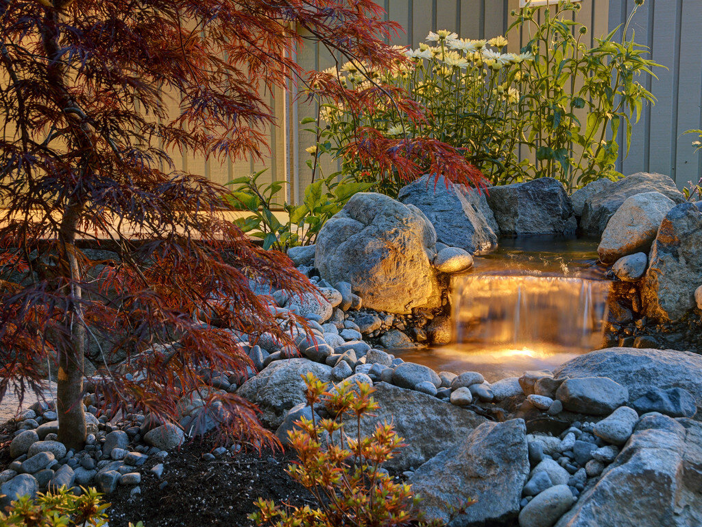 2-landscape-lighting-japanese-maple-pond-daisies-granite-water-feature.jpg