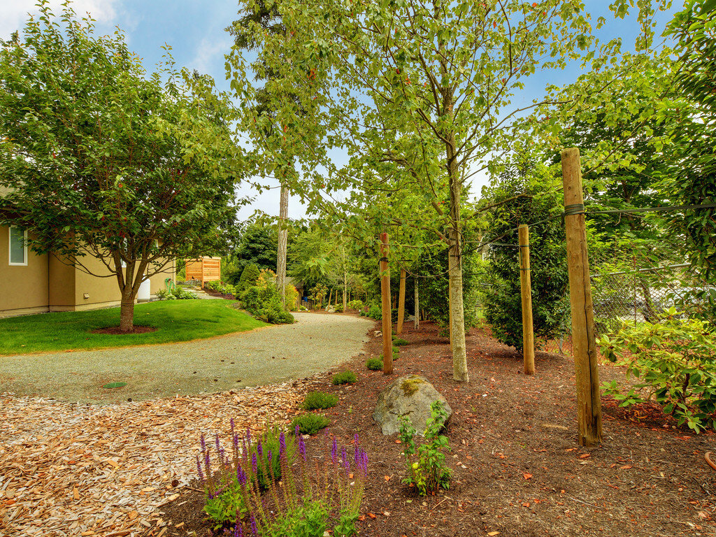 2-gravel-path-salvia-hosta-flower-woodchip-ground-cover-feature-boulder-rock.jpg