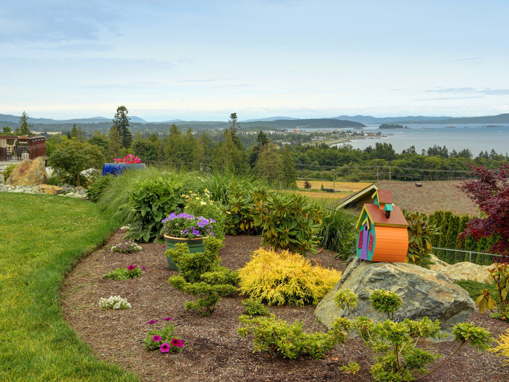2-ocean-front-view-victoria-bc-ceanothus-feature-rock-rhododendron-japanese-maple.jpg
