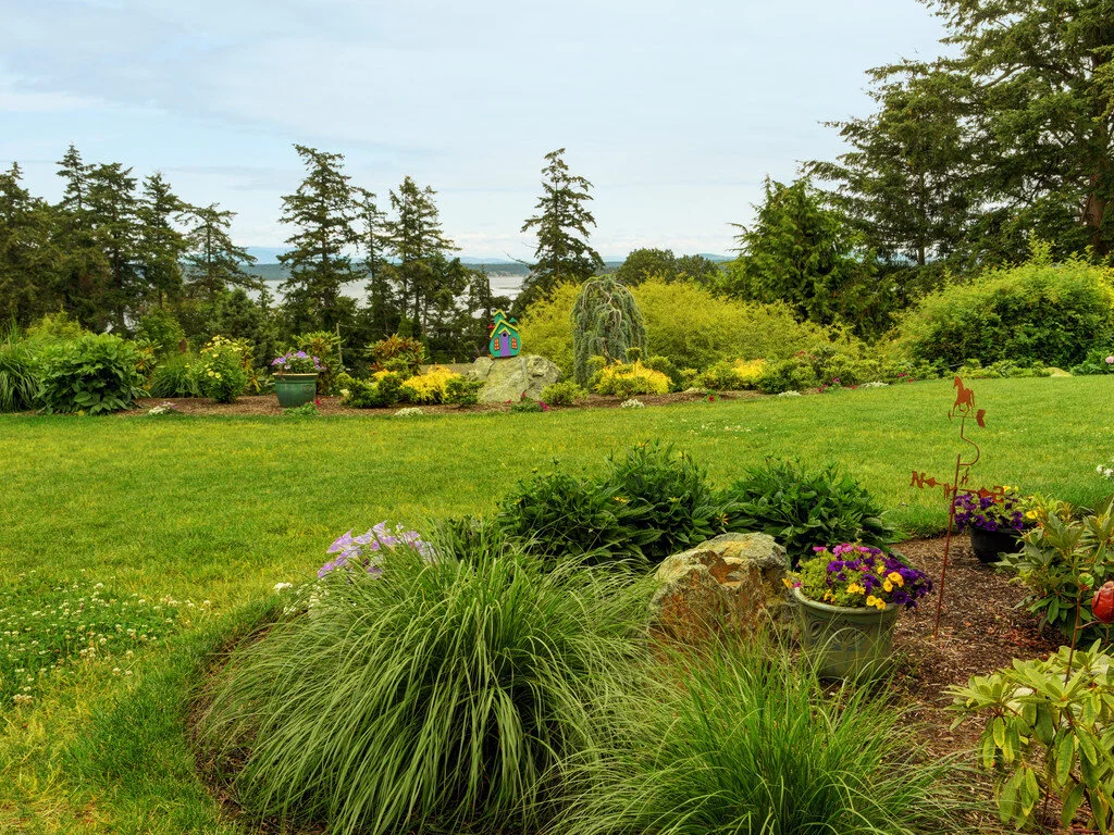 2-pennisetum-miscanthusgrass.jpg
