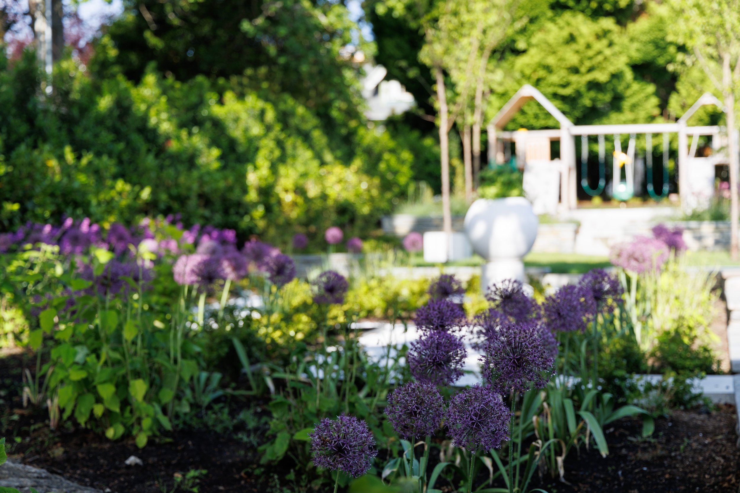 VictoriaBC-MustangLandscape-landscapearchitecture-outdoorliving-garden-planter-purpleallium.jpg