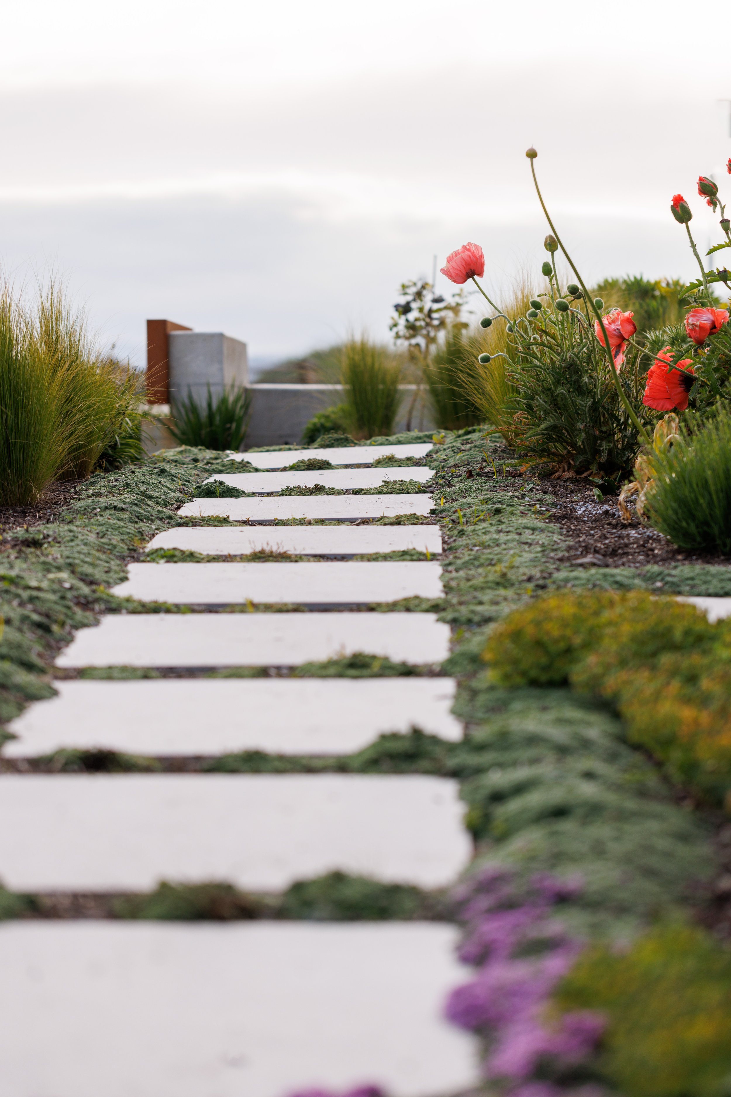 MustangLandscape-VictoriaBC-landscapedesign-gardenideas-pathway-poppies- (1).jpg