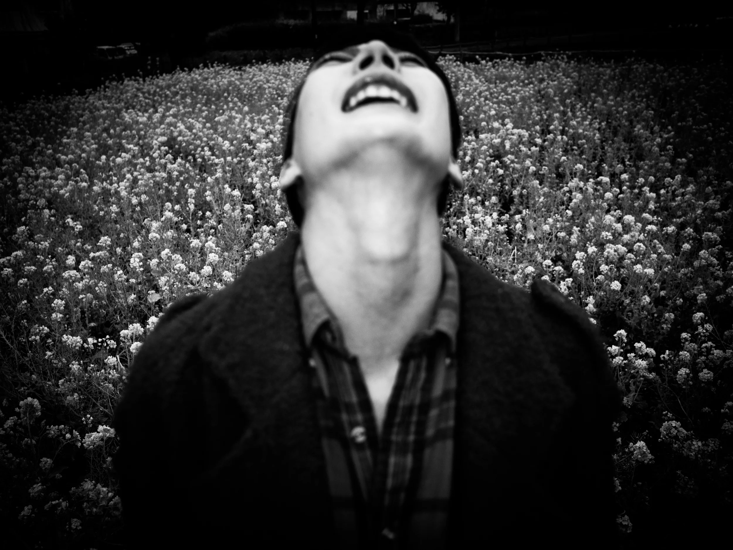 meg_hewitt_Yoko_in_Spring_Tokyo_is_Yours.jpg