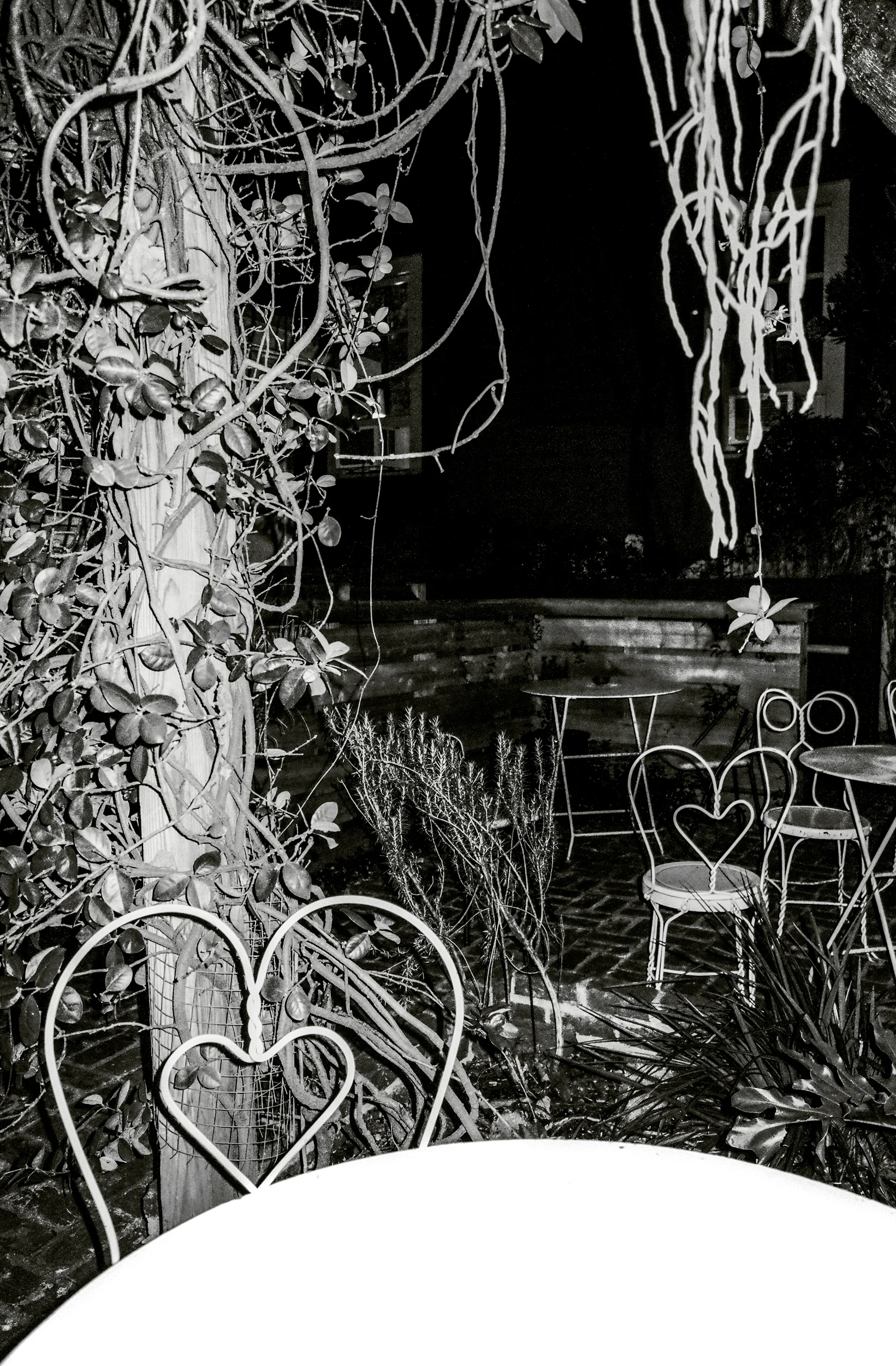 meg_hewitt_Backyard_at_the_Tigermen_Den.jpg