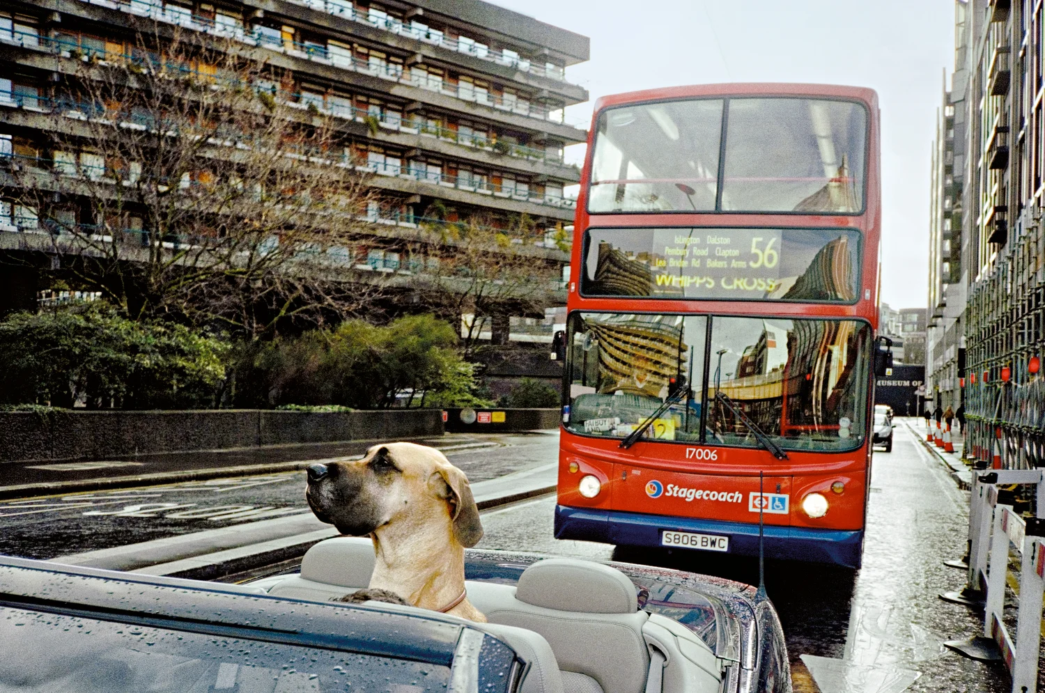 MATT STUART_PHOTOGRAPHER_STREET_COLOUR_LONDON_17.jpg