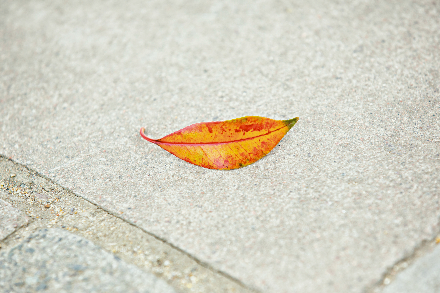 MATT STUART_PHOTOGRAPHER_STREET_COLOUR_LONDON_25.jpg