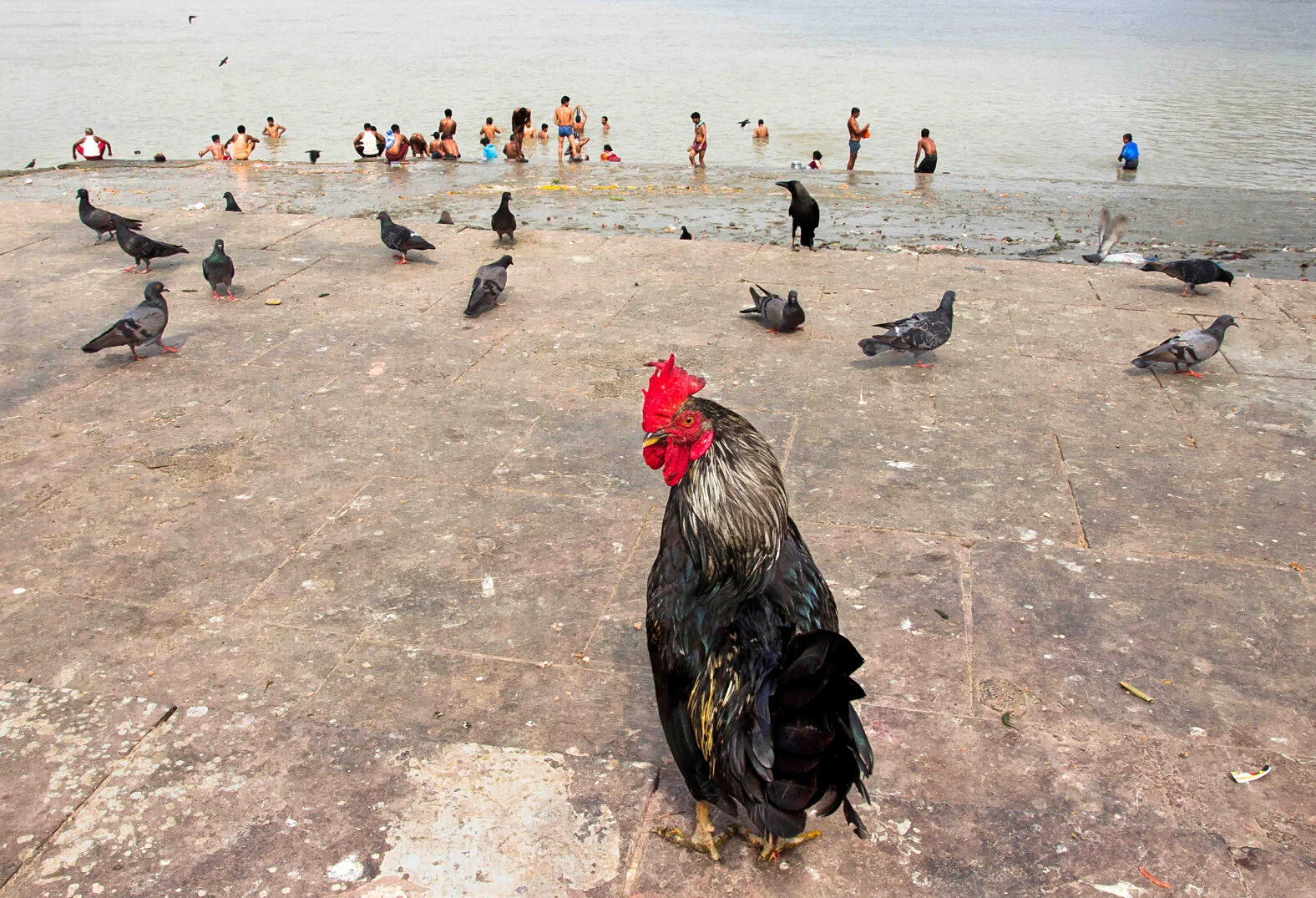Md Enamul_Kabir_01.jpg