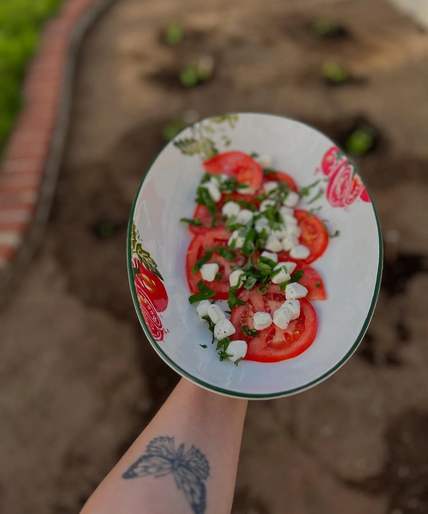 I welcome any and all gardening advice, because, Y&rsquo;all, I&rsquo;m excited as hell about my salsa garden seedlings (🍅🥒🌶️) It looks like 98% of them are going to thrive. Next step is the care and keeping of them and pest and disease control. I