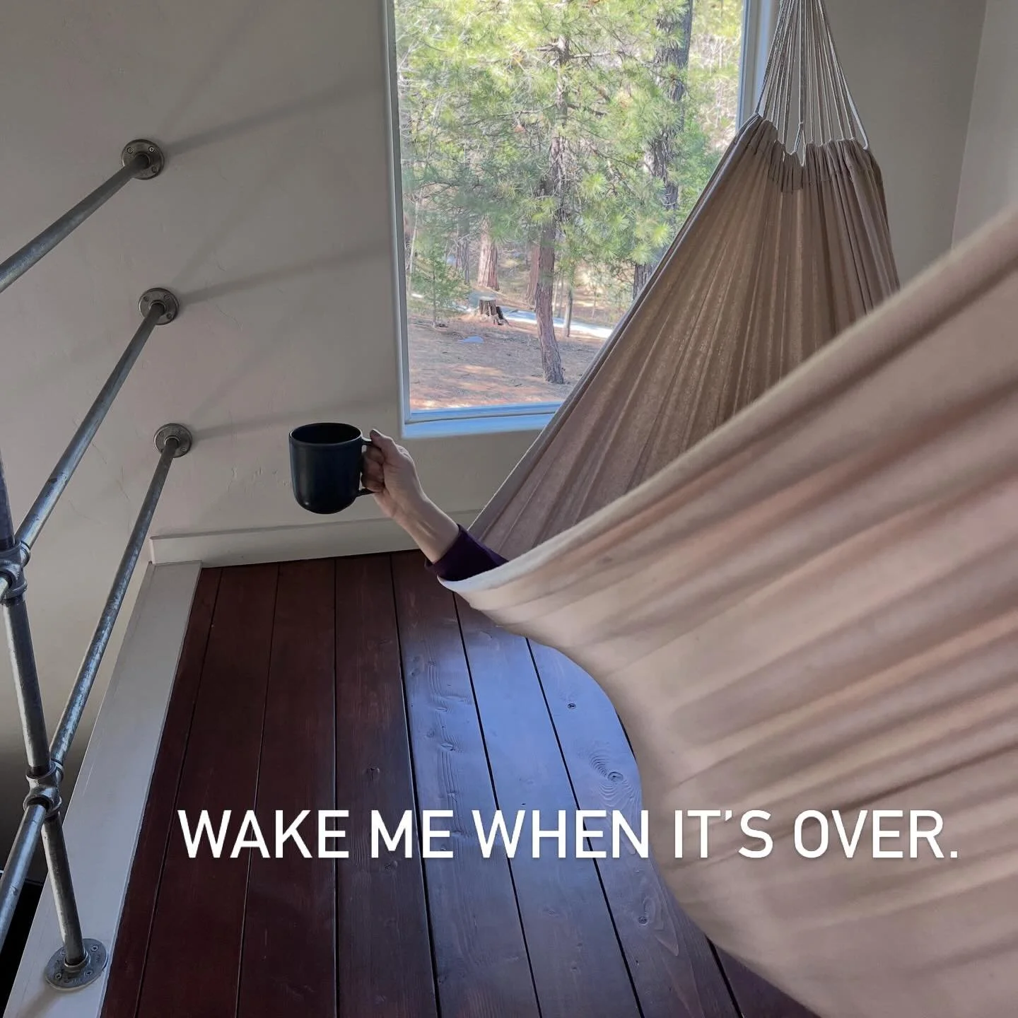 Taking a little digital detox is always a good idea. 

#idyllwild #authorsofinstagram #digitaldetox #amwriting #touchgrass