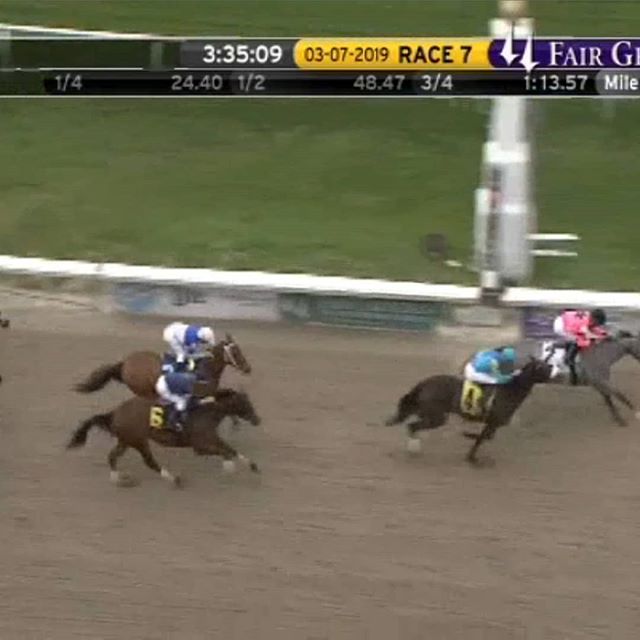 Congrats to our girl Zena Rules who split horses late to finish a hard charging second in her Allowance Optional yesterday to break the 100k earnings barrier!