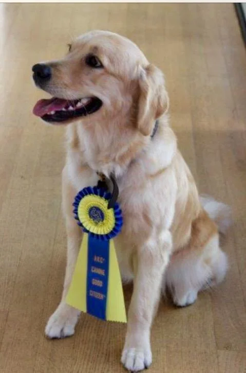 Nyxie_and_CGC_rosette_1.jpg