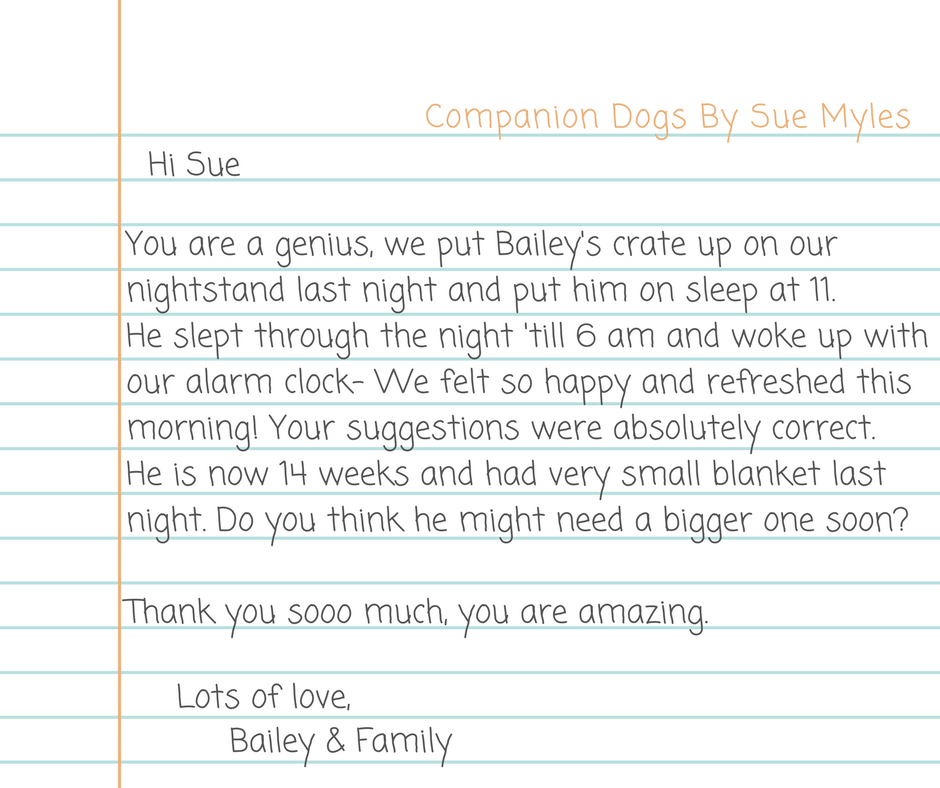 Dear Dr. Sue.png