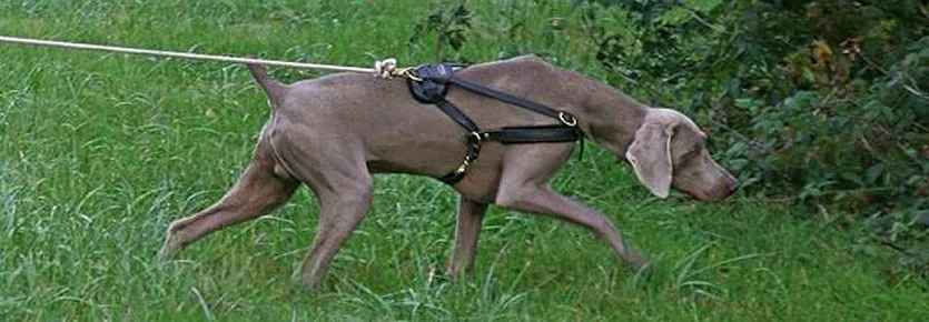 JFF-Tracking-Header.jpg