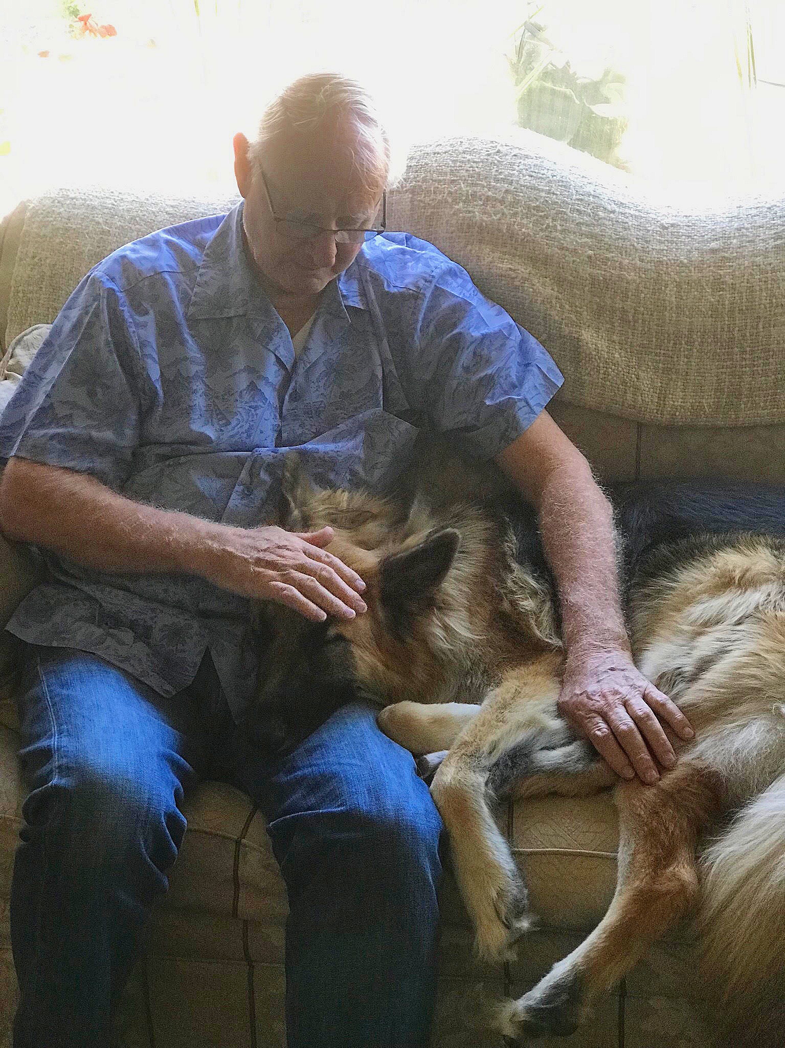 Therapy Dog Esa Training Companion Dog Training By Sue Myles
