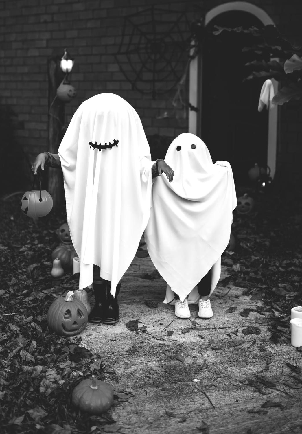 4. Don't expect your pooch to recognize anyone, even you, in your Halloween costume.