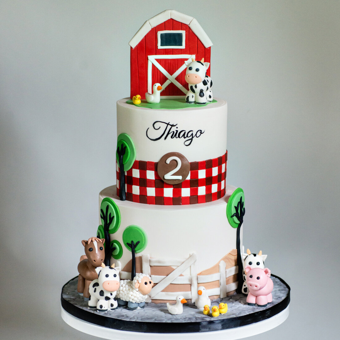 Barn yard birthday cake