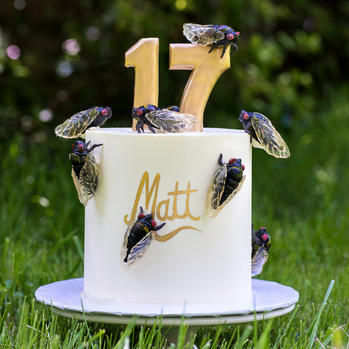 Cicada birthday cake