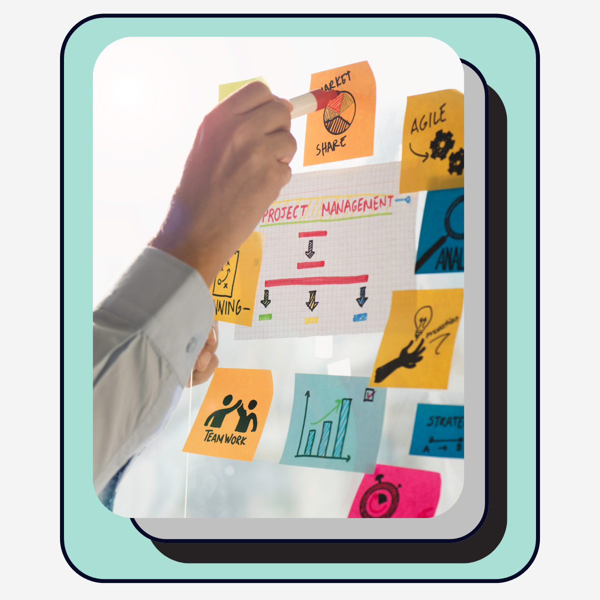 Project Management Software