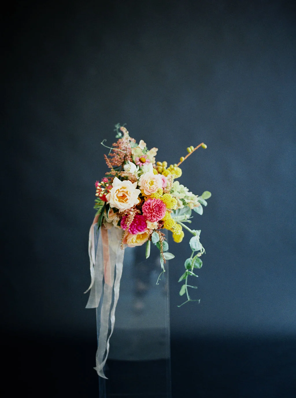 Jenn-sanchez-workshop-catnip-flowers-lara-lam-00001.jpg