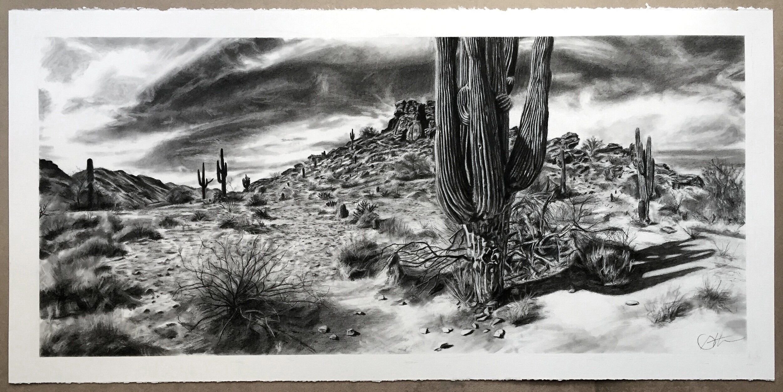 Desert Spirits - 2021 - 28x12 - Charcoal_result.jpeg