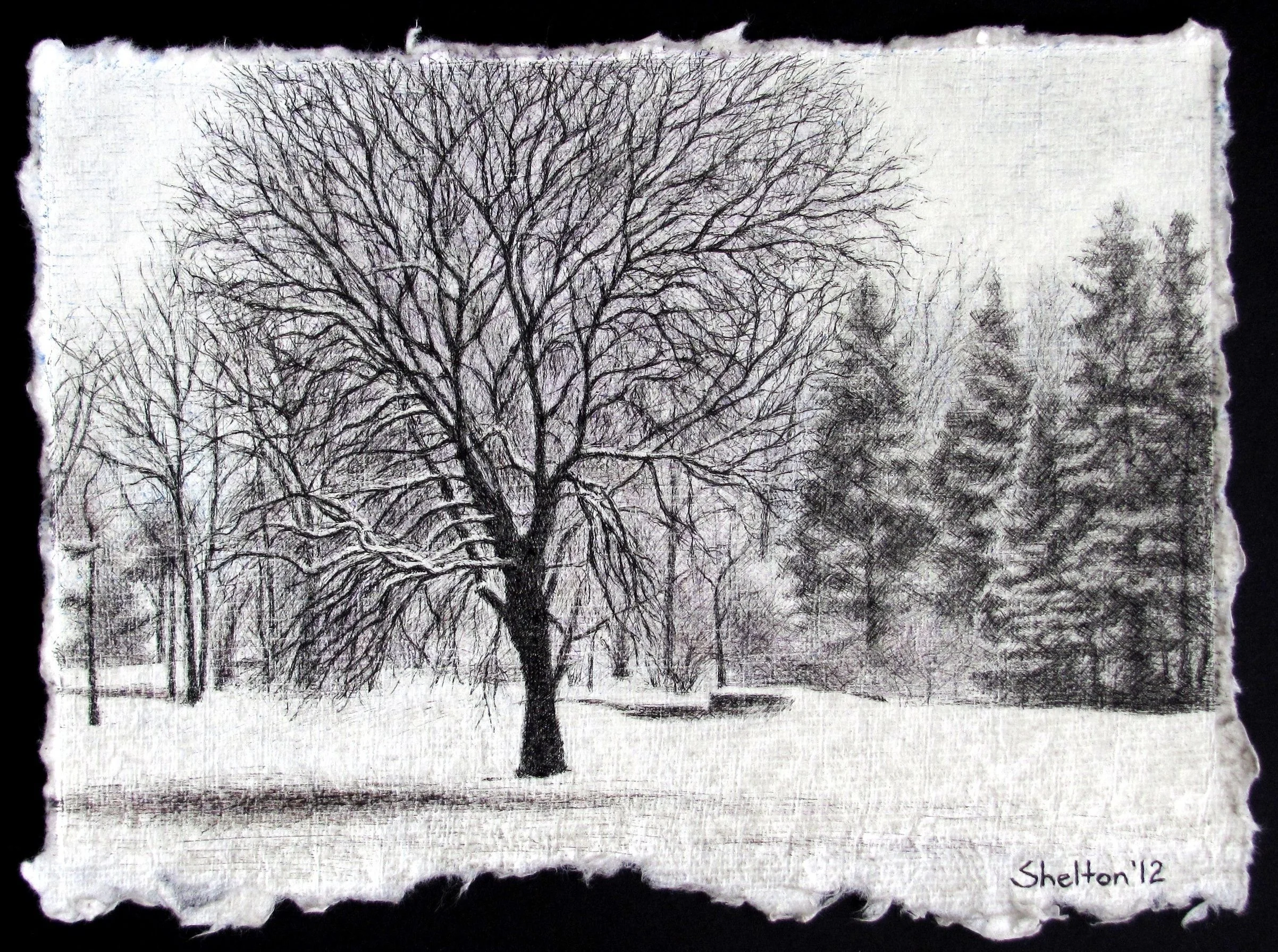 Bare Branches - 2012 - 4 1-2x6 1-2 - Ink_result.jpeg