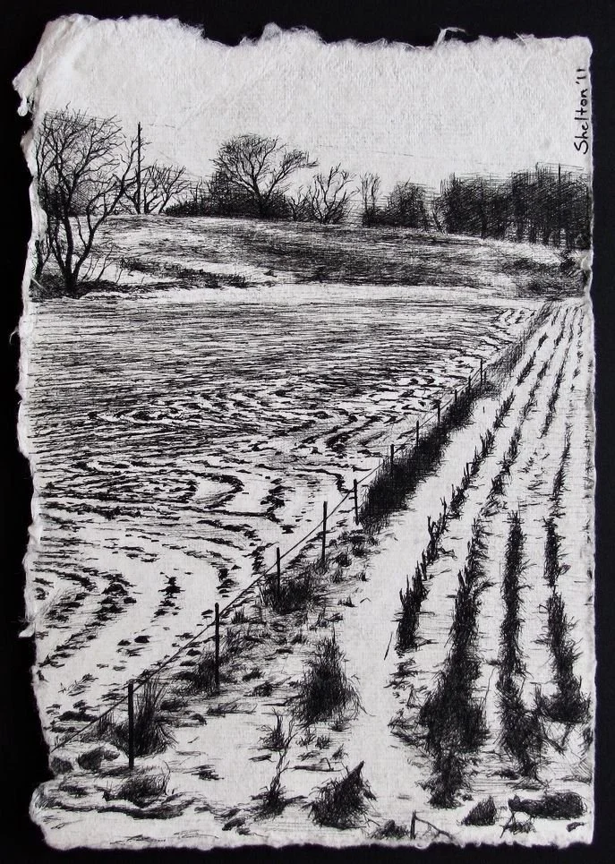 Snowy Field - 2011 - 5x7 - Ink_result.jpeg