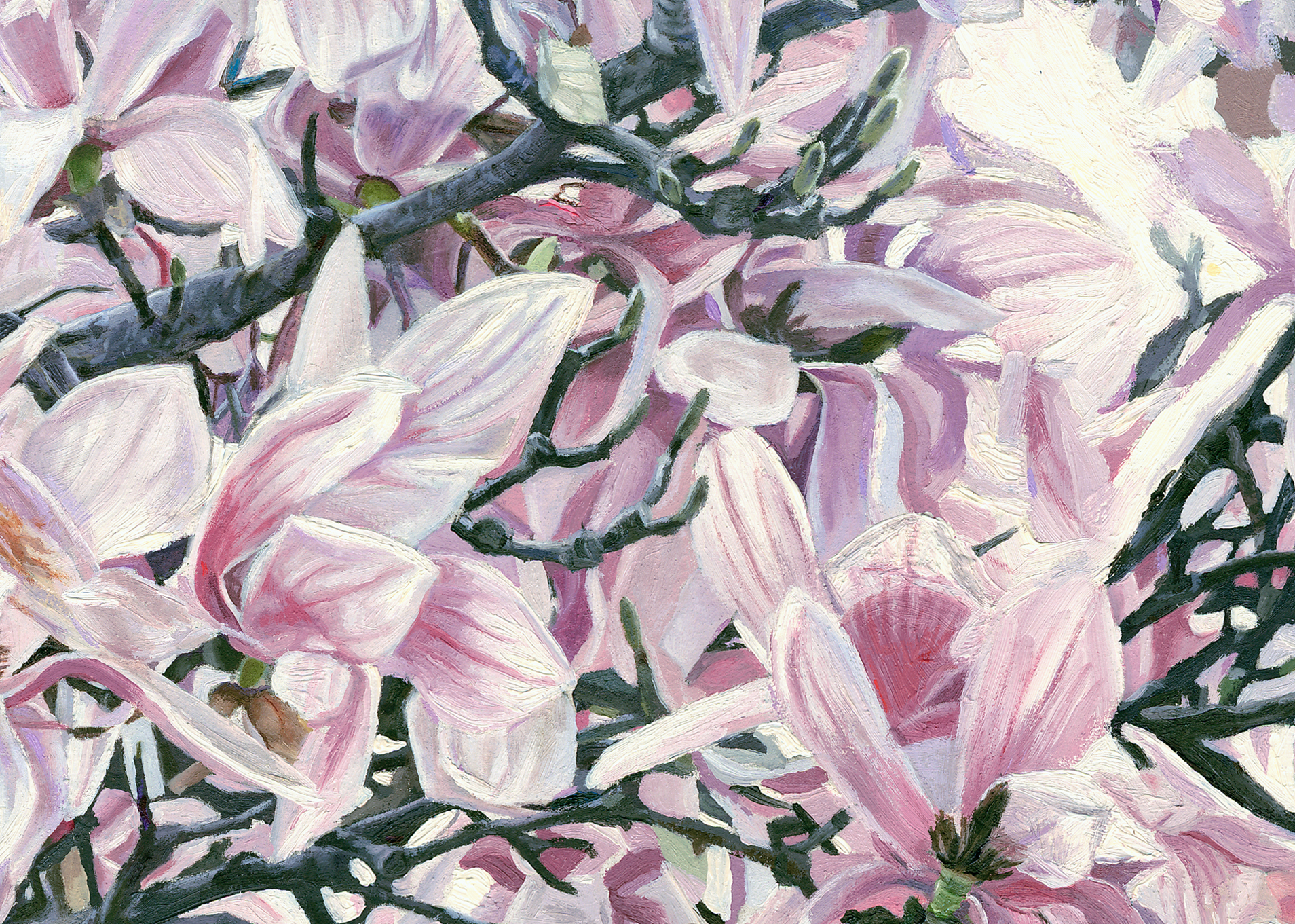 Screenshot (35259).png