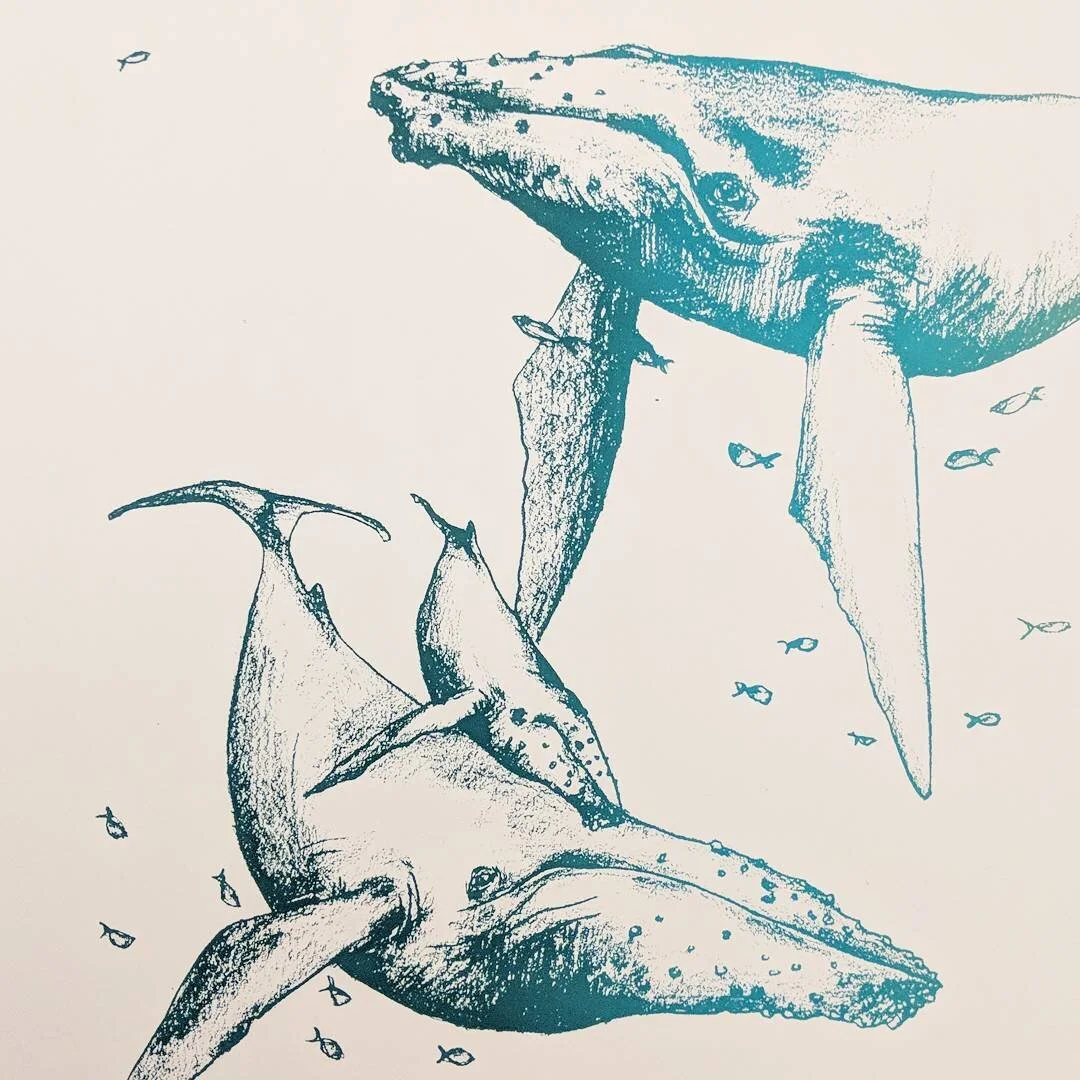 Had so much fun in @spudnikpress cooperative's printmaking foundations class! These whales began as a drawing for our final printing project - #screenprinting! #printmaking #firsttimer #spudnikpress
