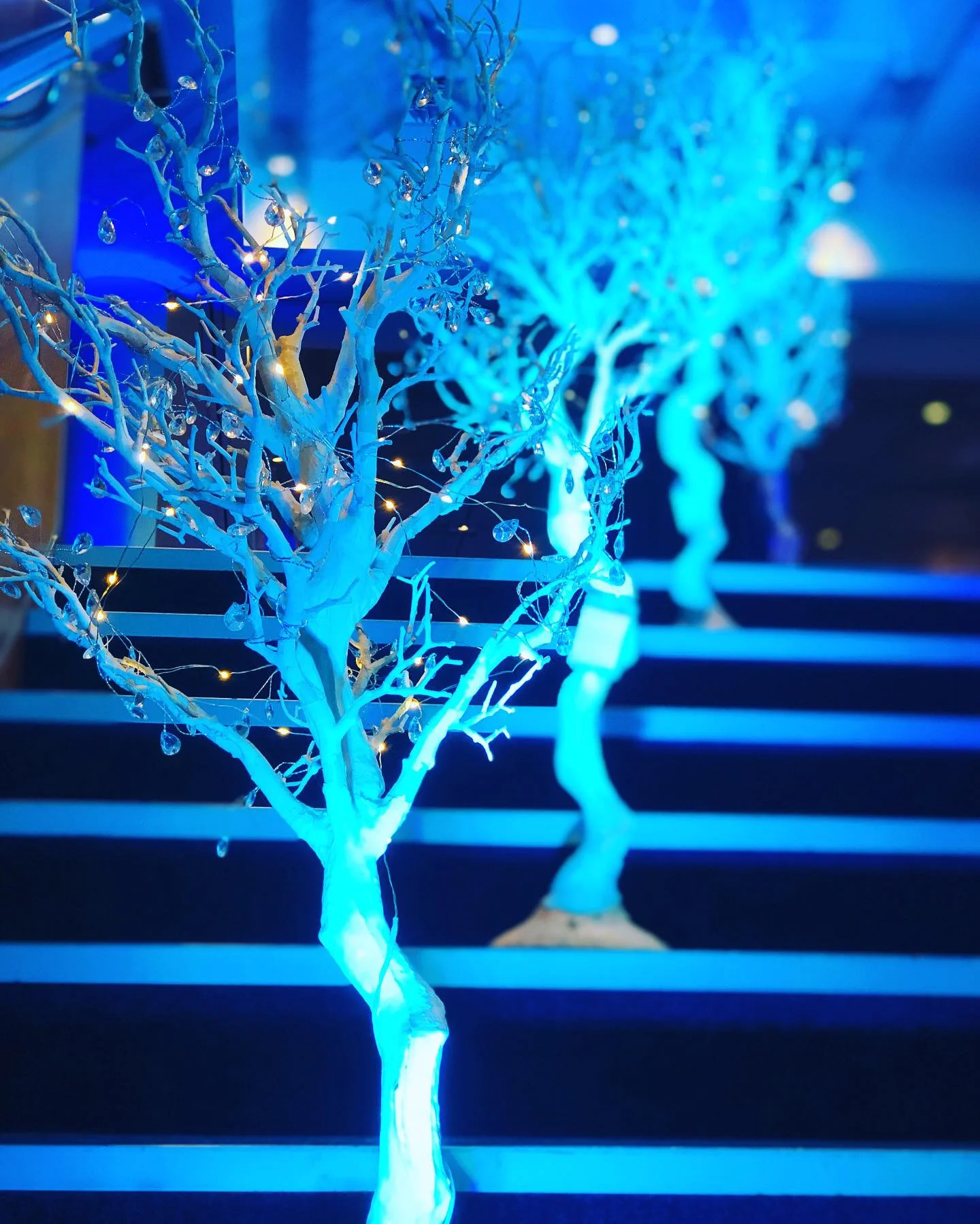 Mahurangi Ball 2019 Theming