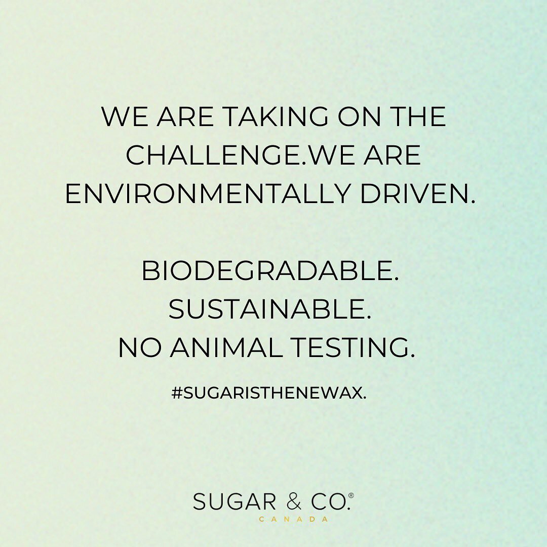 Fun fact about us: We are always focusing on finding environmentally friendly ways to produce the sugar you love. The lab that we call home is a net-zero building. This means that our building emits no greenhouse gas emissions such as carbon in the a