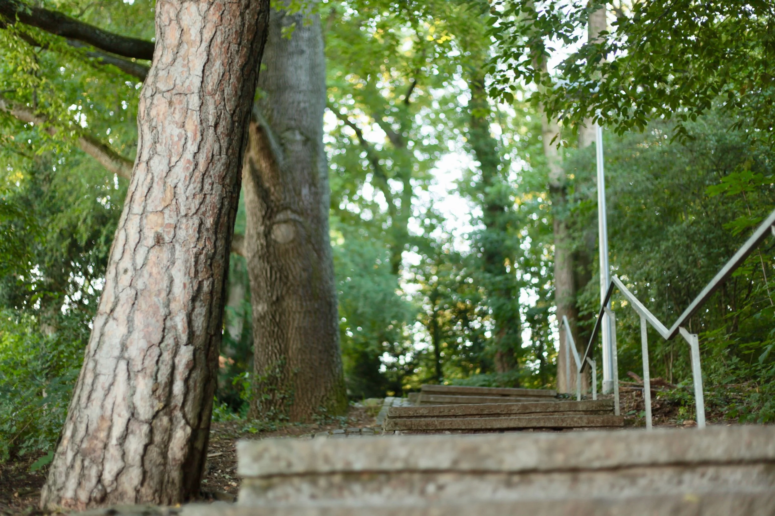 Why Trying Harder Is Not Always the Answer