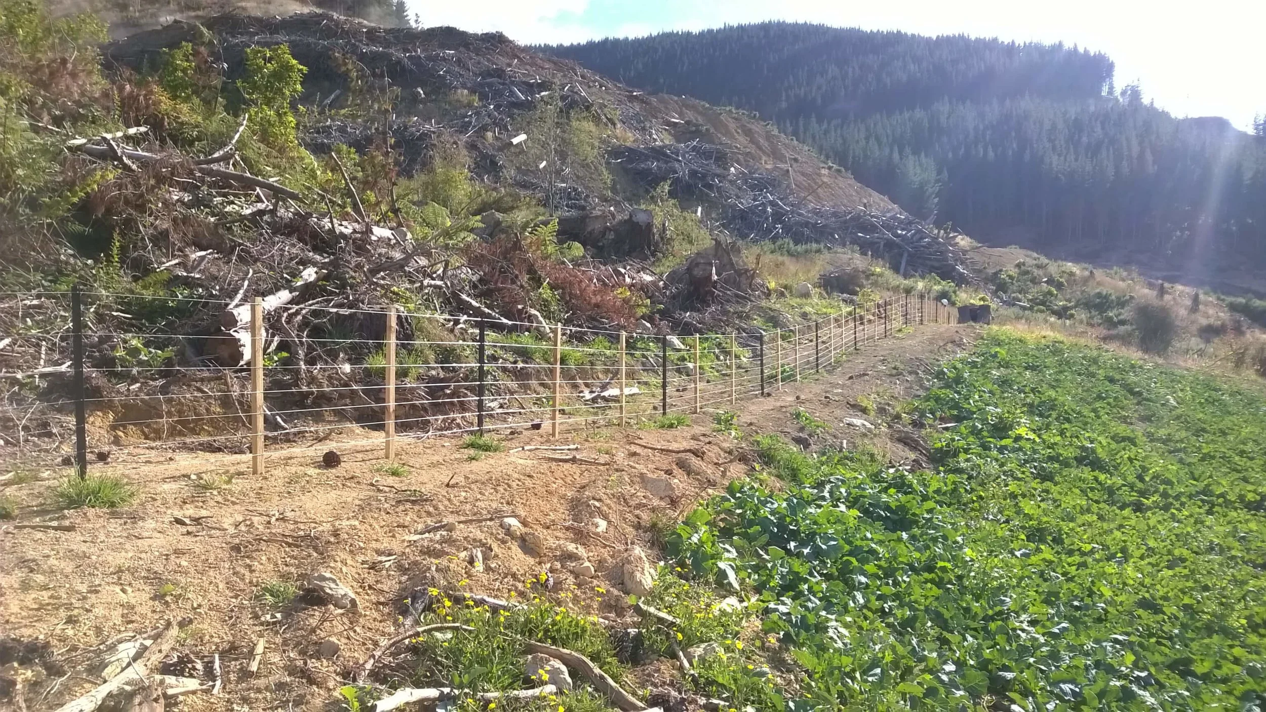 WP_20160113_002 (2) (1).jpg