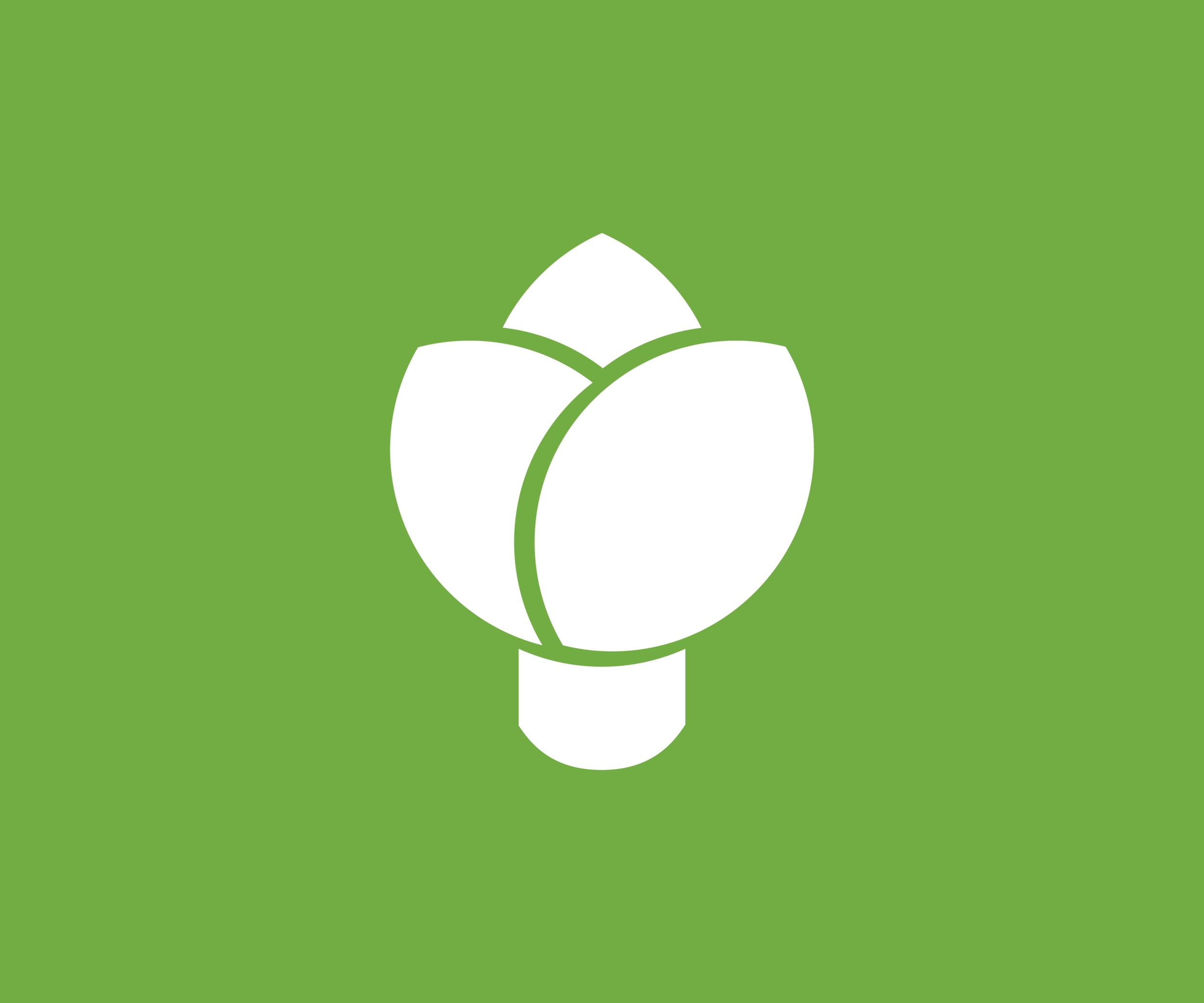 Logo BTs.png