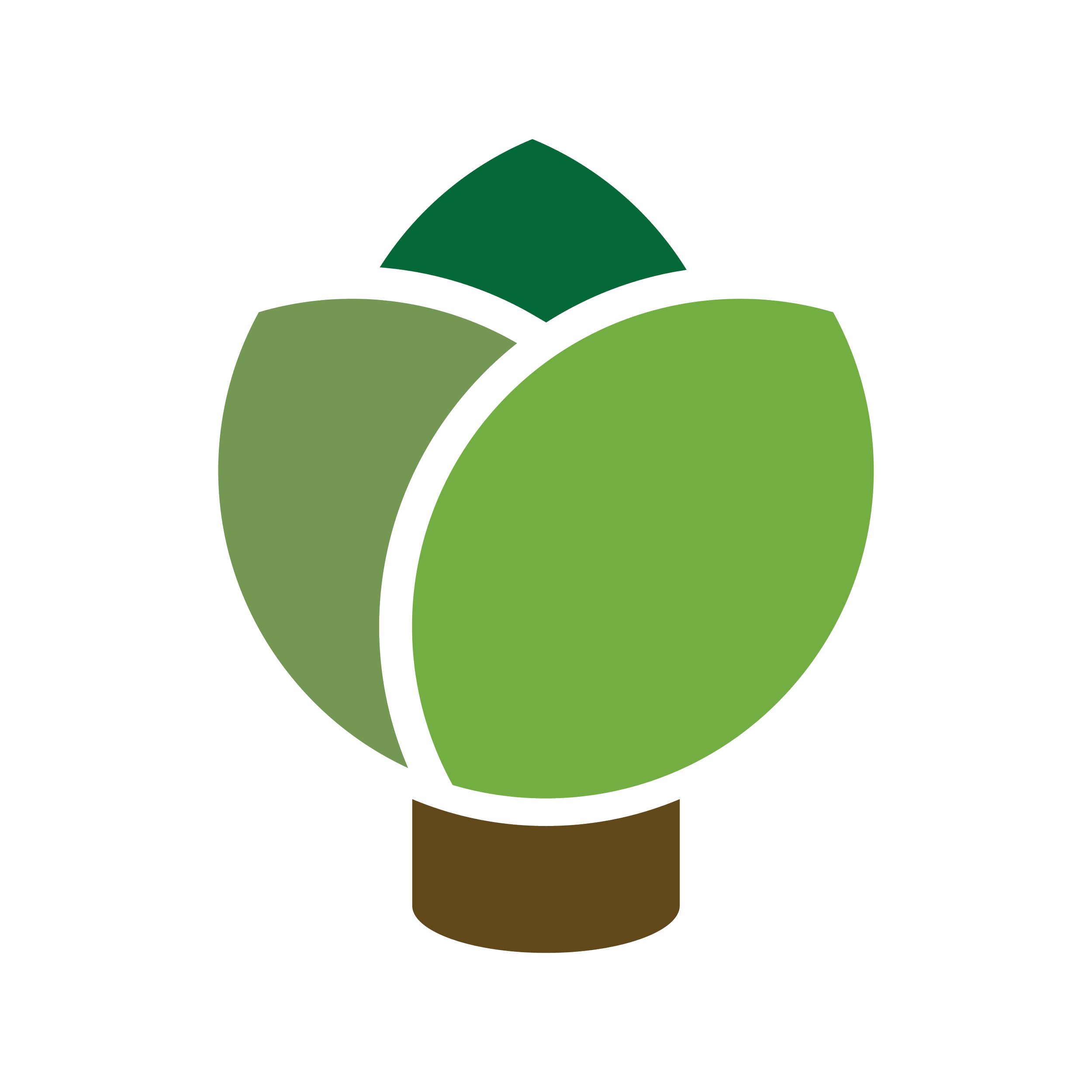 Barajas Tree Service