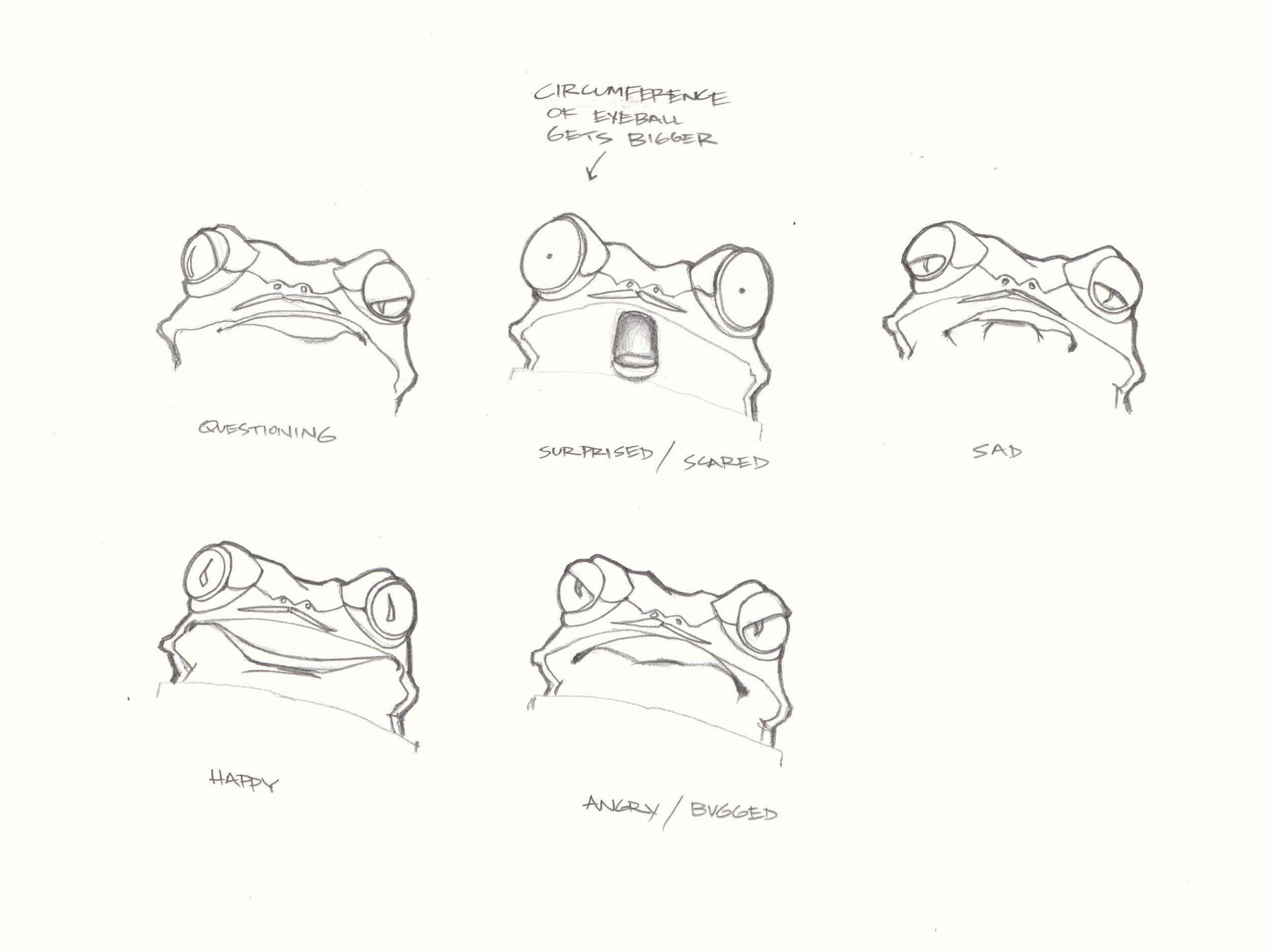 Frog 1 FACIAL EXPRESSIONS.JPG