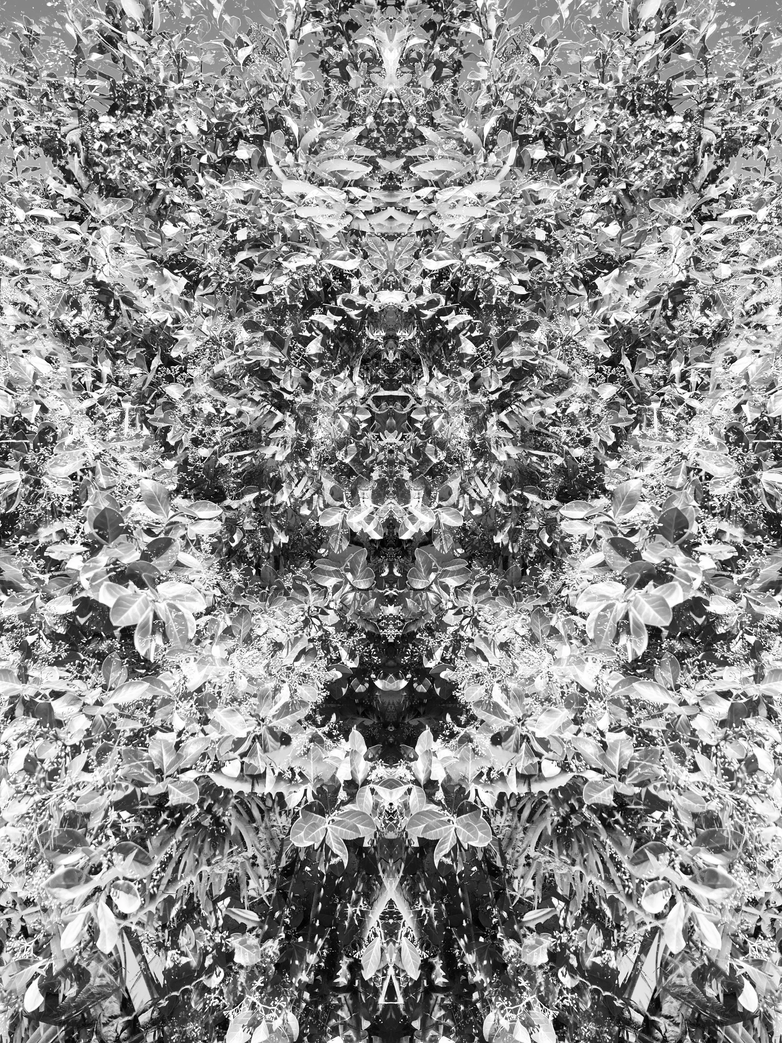 E21713DA-53ED-4400-BBF7-EFC1A5B8E0B8.jpeg