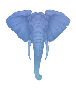 Elephant-Thinking2.png