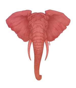 Elephant-Leadership.png