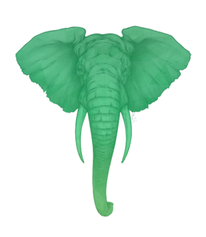 Elephant-Growth.png